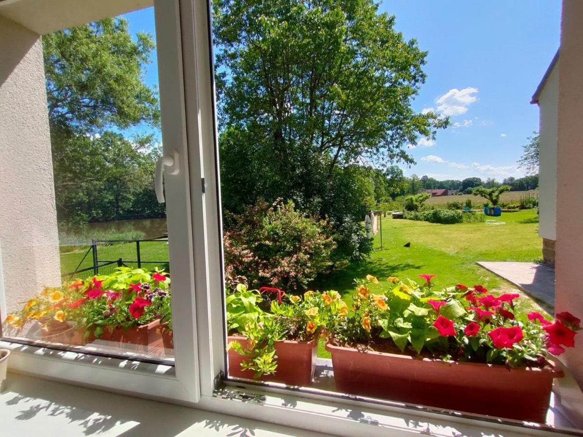 Ubytování na samotě - Apartmán U Tesařů Komarice Exteriér fotografie