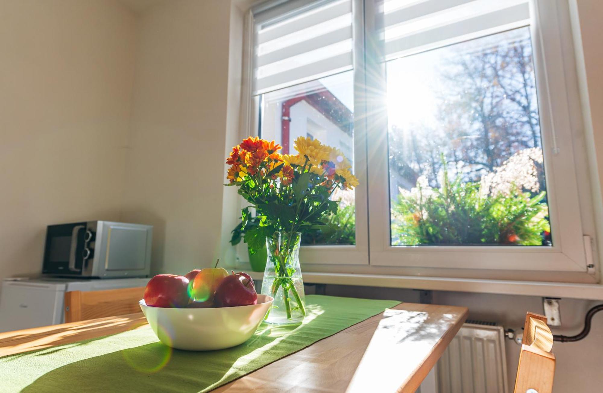 Ubytování na samotě - Apartmán U Tesařů Komarice Exteriér fotografie
