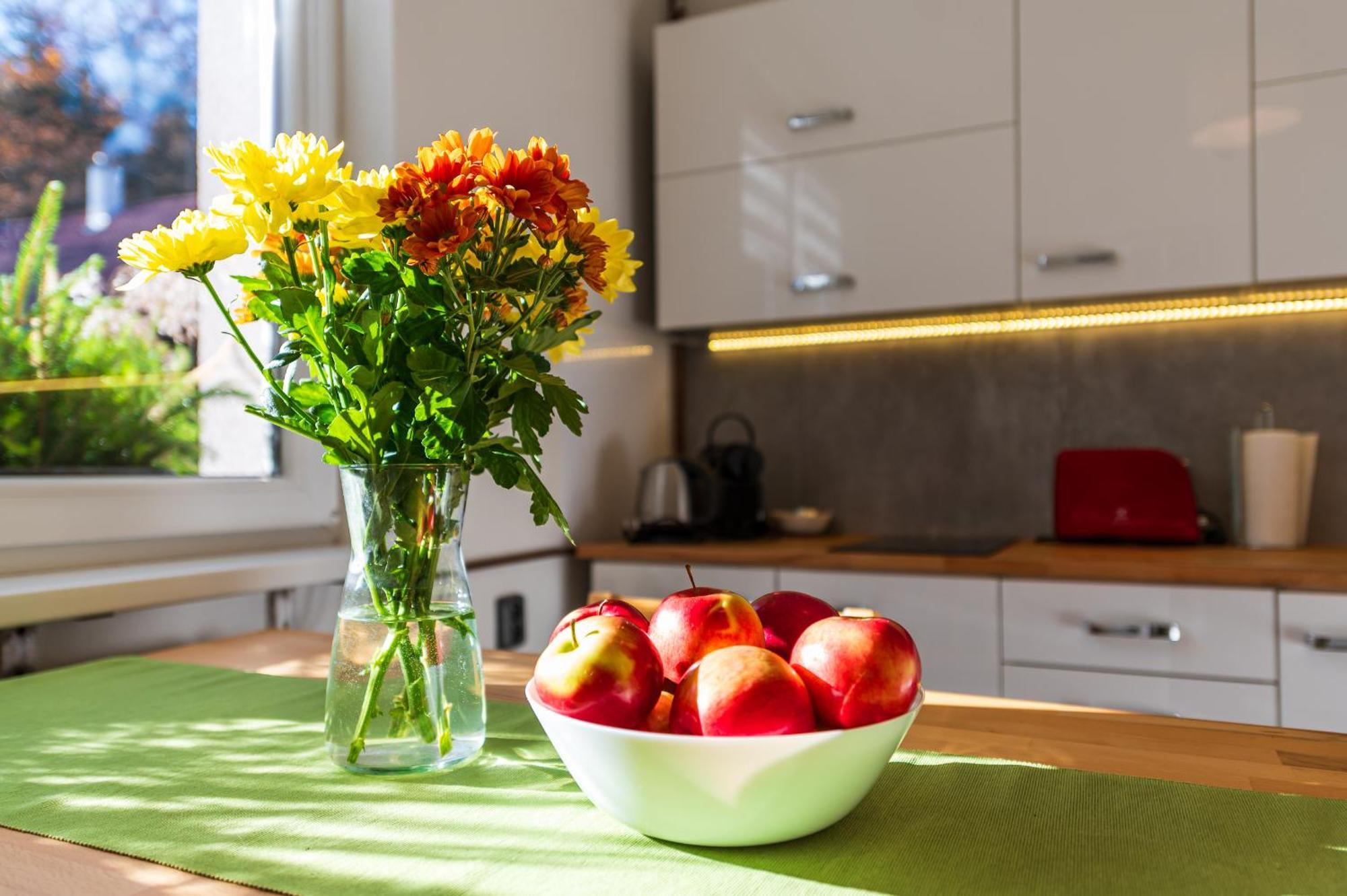 Ubytování na samotě - Apartmán U Tesařů Komarice Exteriér fotografie